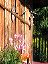 garden002
