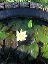 garden006