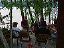 tyrrells_vacation003